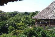 View from Zanzibar Hut over forest