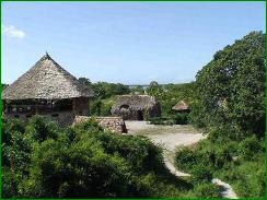 Das Camp von der Zanzibar Huette aus